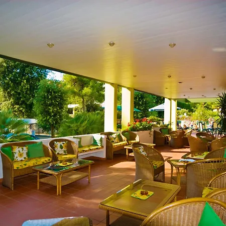 Concordia 3s 比比翁